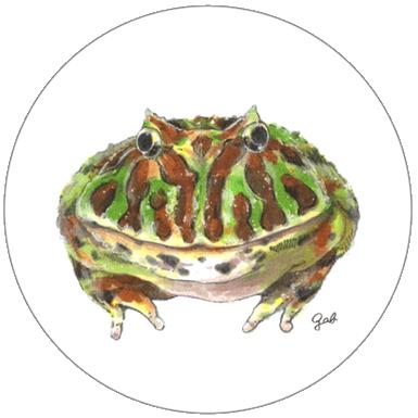 缶バッジ 38mm オリジナル かわいい 爬虫類 グッズ バッグ おしゃれ トカゲ カメ カエル Item0003 Covas Coffee 通販 Yahoo ショッピング 缶バッジ 38mm オリジナル かわいい 爬虫類 グッズ バッグ おしゃれ トカゲ カメ カエル Item0003 Covas Coffee 通販 Yahoo ショッピング