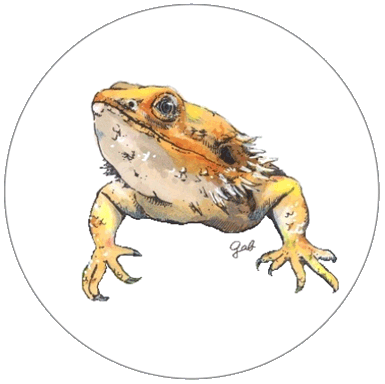 缶バッジ 38mm オリジナル かわいい 爬虫類 グッズ バッグ おしゃれ トカゲ カメ カエル Item0003 Covas Coffee 通販 Yahoo ショッピング 缶バッジ 38mm オリジナル かわいい 爬虫類 グッズ バッグ おしゃれ トカゲ カメ カエル Item0003 Covas Coffee 通販 Yahoo ショッピング