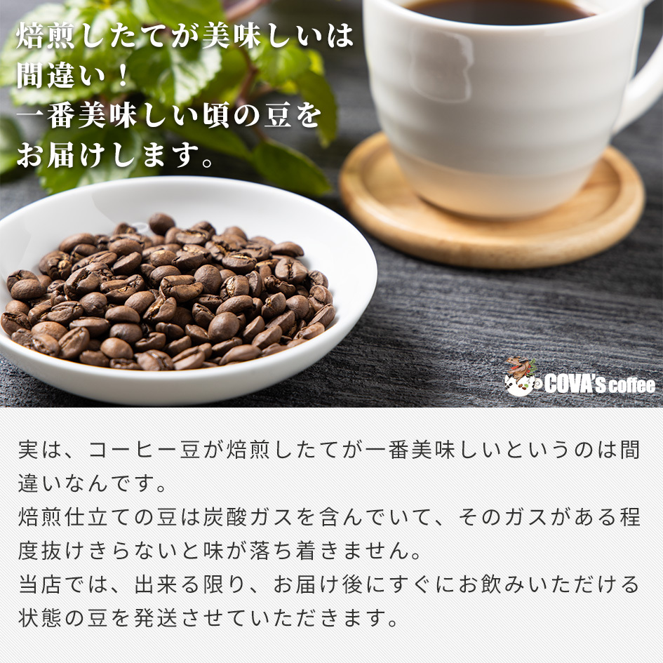 コーヒー豆 ブラジル トミオフクダ ドライオンツリー 200g 自家
