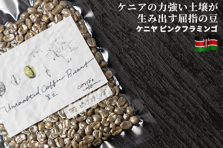 コーヒー 生豆 お試し 100g ケニア ピンクフラミンゴ 珈琲 少量