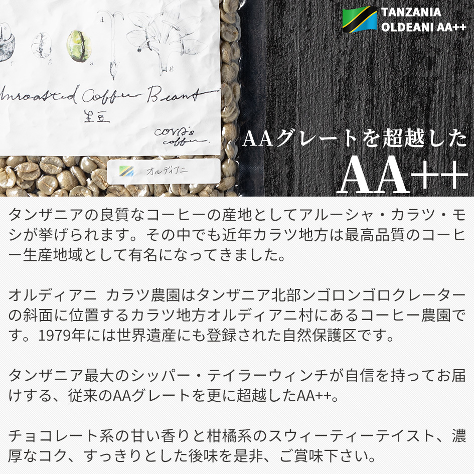 コーヒー 生豆 お試し 100g タンザニア オルディアニ AA++ 珈琲