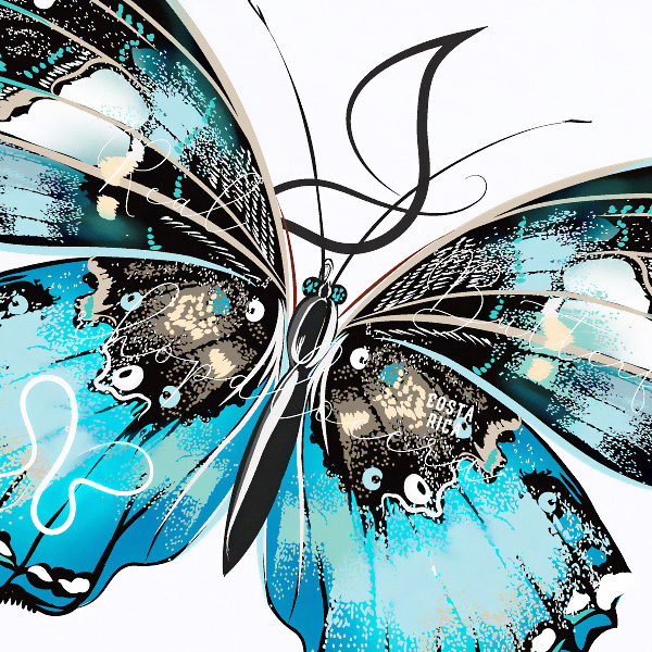 COVAS GRAPHIC Tシャツ 青蝶 ホワイト 白 303113-10 ユニセックス 半袖