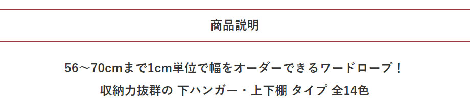 セミオーダーワードローブ 下ハンガー・上下棚 LASCO（ラスコ） 幅56