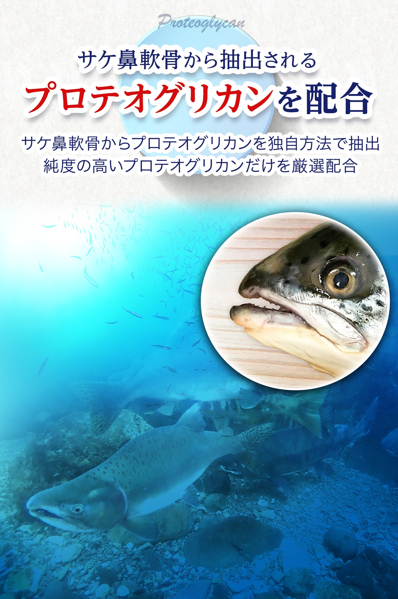 健足生活 グルコサミン15000mg コンドロイチン カルシウム3000mg サケ鼻軟骨抽出物 フ?ロテオク?リカン ヒアルロン酸 サプリメント  120粒 30日分