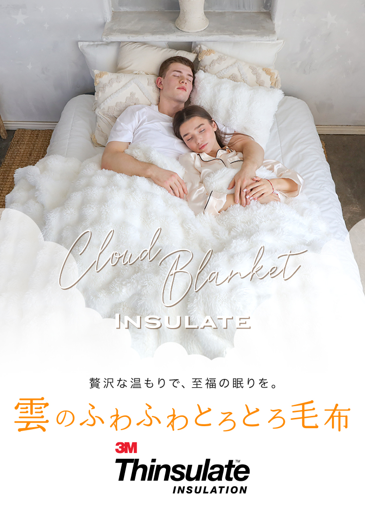 cbinsulate_01.jpg