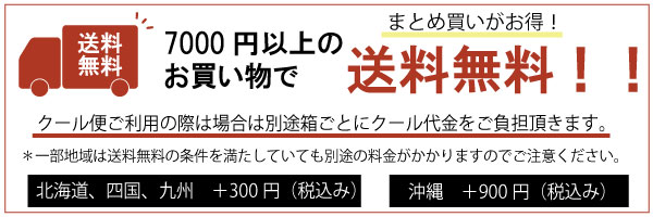 毎日続々入荷 ワイン シャンパン NV ブリュット マジュール アヤラ シャンパーニュ フランス 白 辛口 750ml 家飲み  www.monseletjardin.ca