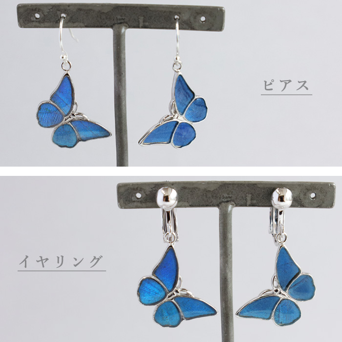 naturama(ナチュラマ) ブルーモルフォ蝶のピアス・イヤリング シルバー