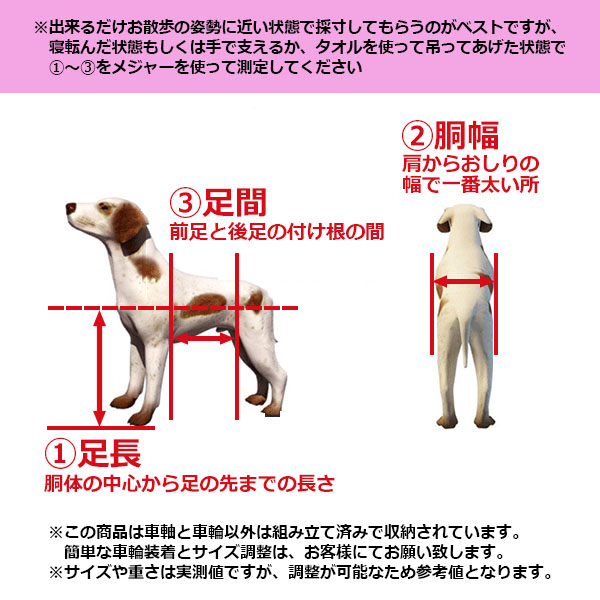 犬用車椅子 前足用（ペット用品、生き物）の商品一覧 通販 - Yahoo