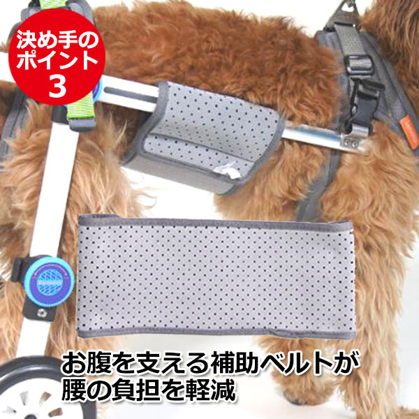 犬用車椅子 前足用（ペット用品、生き物）の商品一覧 通販 - Yahoo