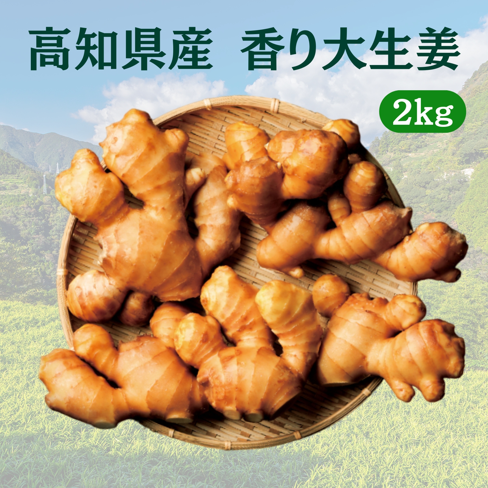 生姜種の商品一覧 通販 - Yahoo!ショッピング