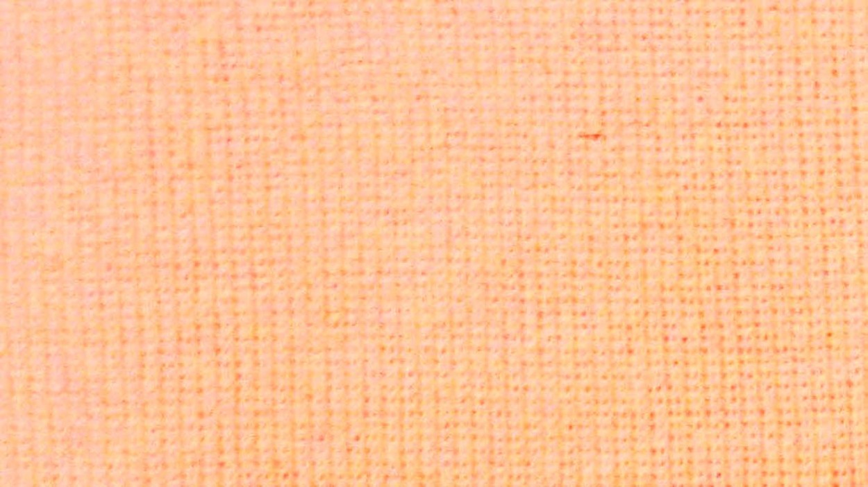 布専用絵の具くらカラー白地用オレンジ系　45ｇ｜craftworkskyotostore｜07