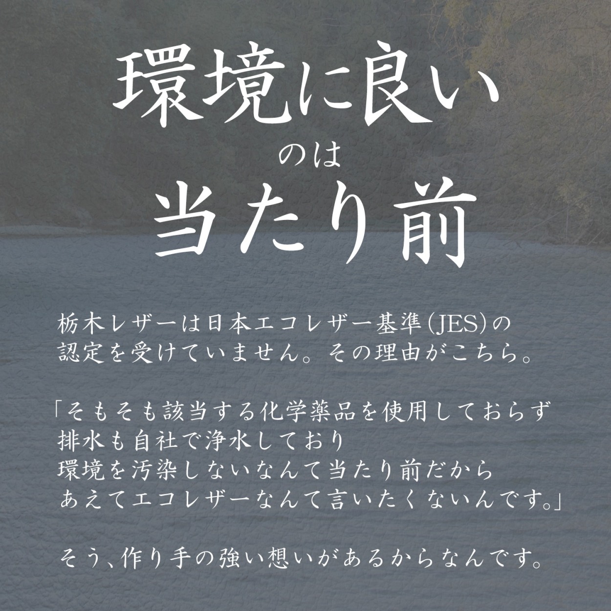 新作入荷!! 栃木レザー 財布 メンズ 二つ折り 本革 日本製 二つ折り財布 ７色 ギフト プレゼント 父の日 limonvilla.com