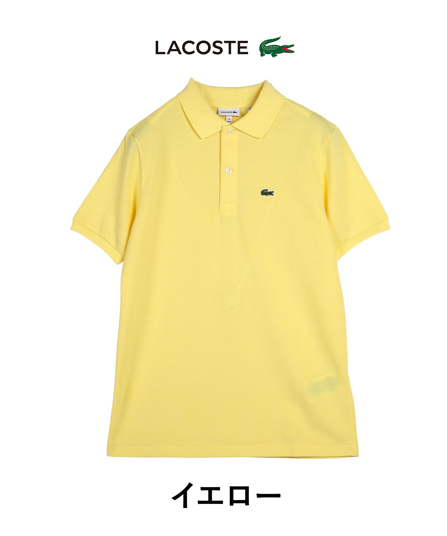 ラコステ Tシャツ レディース LACOSTE ボーイズ ガールズ 中学生 