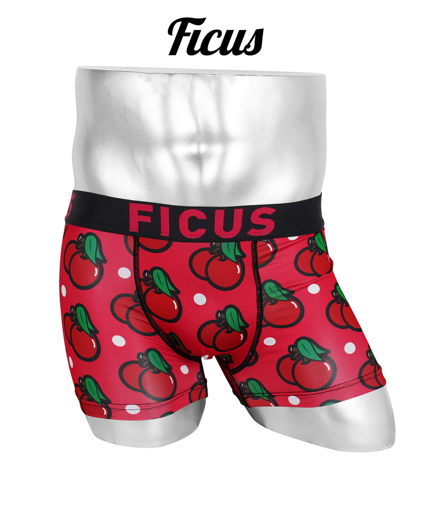 FICUS（フィークス） 新生活 ボクサーパンツ メンズ 下着 紳士 当店