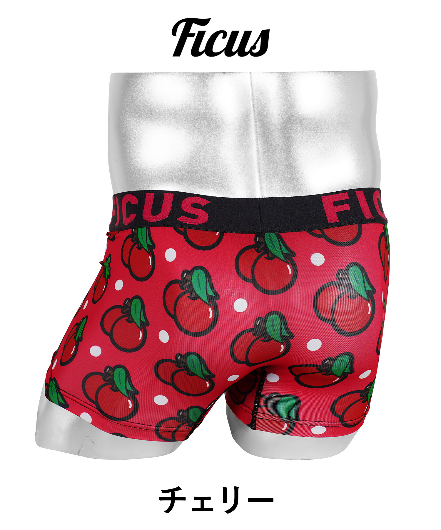 FICUS（フィークス） 新生活 ボクサーパンツ メンズ 下着 紳士 当店