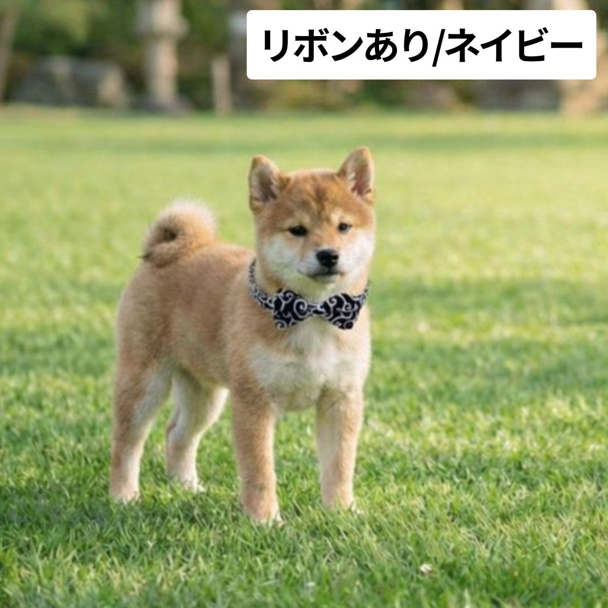 首輪 犬 ルイヴィトンのおすすめ人気商品一覧 通販 - Yahoo!ショッピング