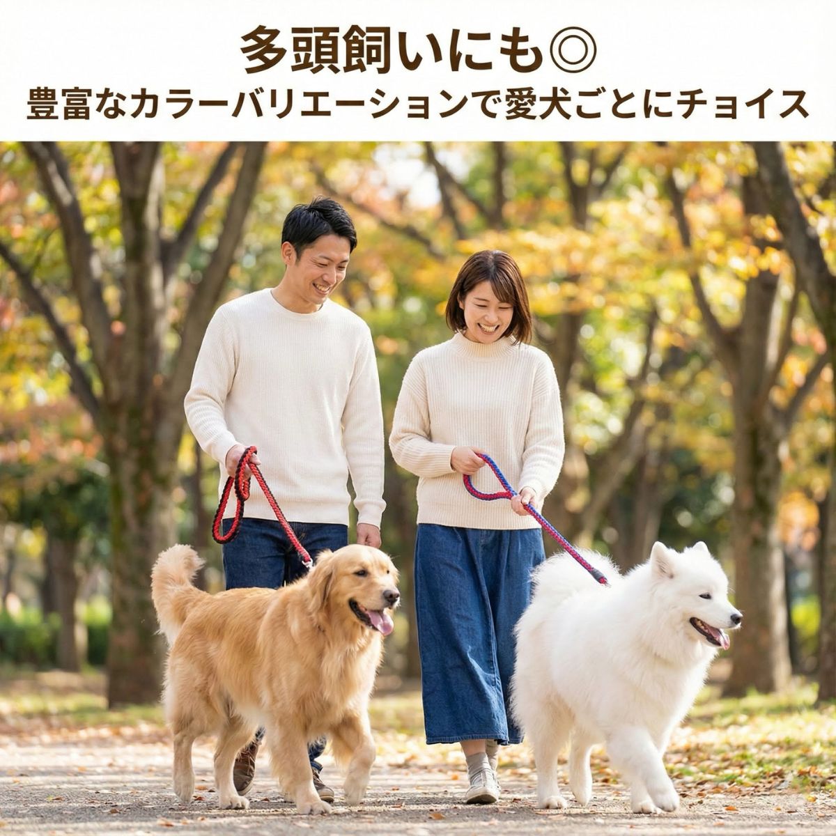 犬 リード 首輪 セット 引っ張り癖 しつけ用 丈夫な編込みロープ 中型犬 大型犬 用 おしゃれ トレーニング 散歩 ハーフチョークタイプ 関連画像3
