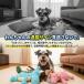 ペット おもちゃ 犬 小型犬用 音が鳴る ぬいぐるみ かみかみアニマル コットン素材でやさしい 水洗い可能 噛んで遊べるドッグトイ 関連画像1