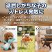 ペット おもちゃ 犬 小型犬用 音が鳴る ぬいぐるみ かみかみアニマル コットン素材でやさしい 水洗い可能 噛んで遊べるドッグトイ 関連画像2