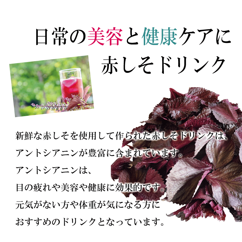お中元 赤しそジュース 特別栽培 赤しそ使用 赤しそドリンク