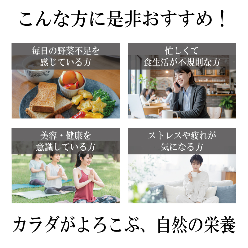 無添加 無農薬 モリンガパウダー 粉末 モリンガ茶 90種類栄養素含有