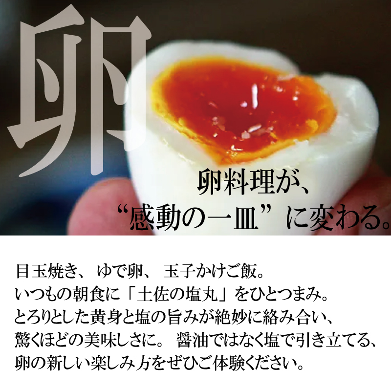 高知 天然塩 天日塩 土佐の塩丸