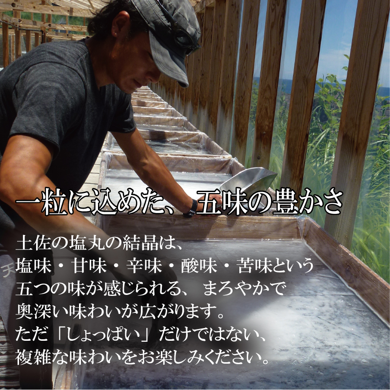 高知 天然塩 天日塩 土佐の塩丸