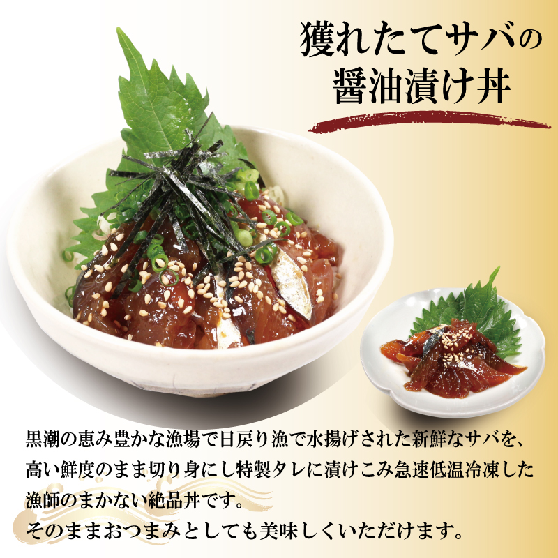 海鮮 漬け丼 サバ イカ マグロ カツオ