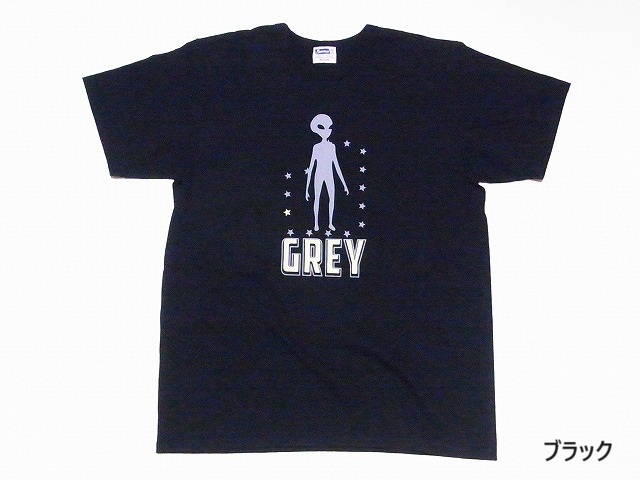 フェローズ Pherrow&apos;s Tシャツ 24S-PMT4 GREY