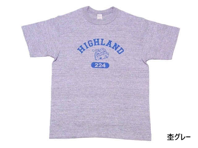 ウエアハウス WAREHOUSE Tシャツ HIGHLAND 4601