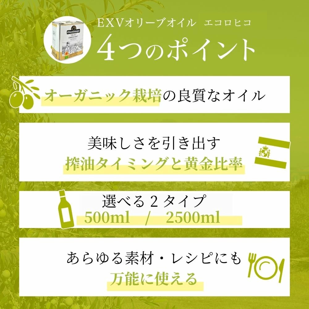 エコロヒコ