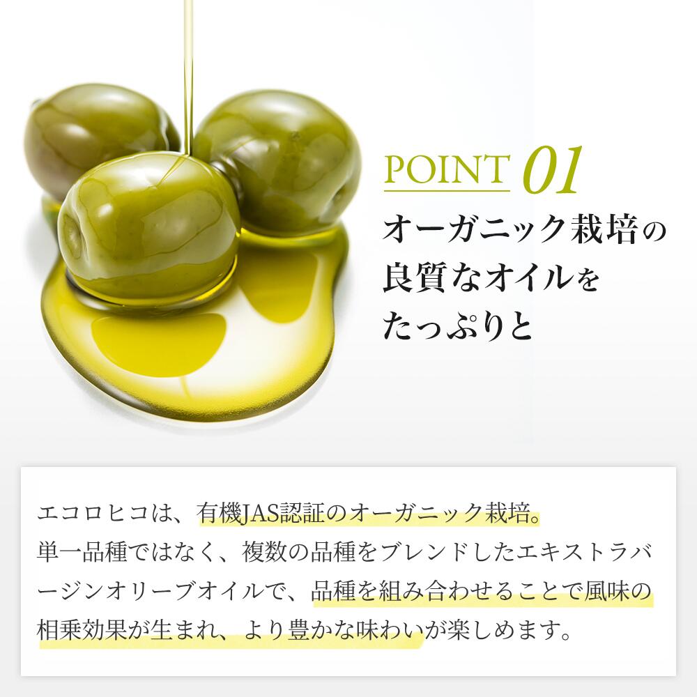 エコロヒコ