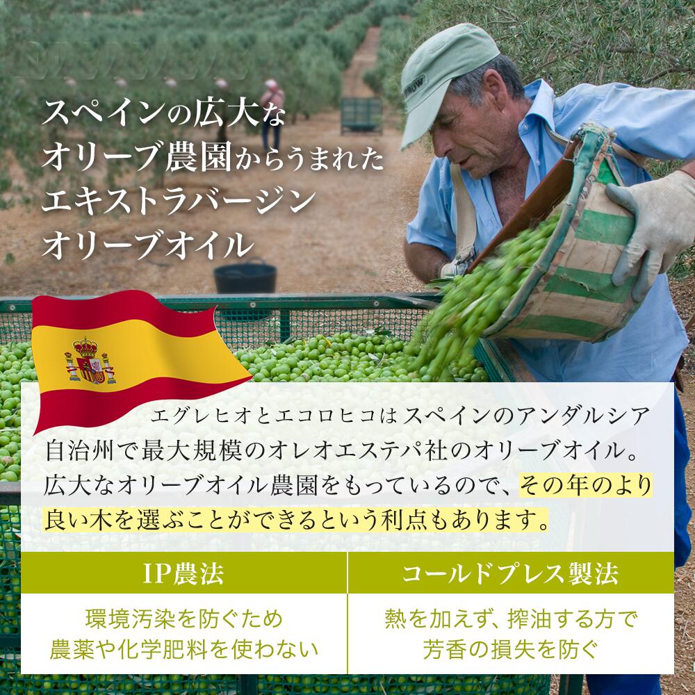 エコロヒコ