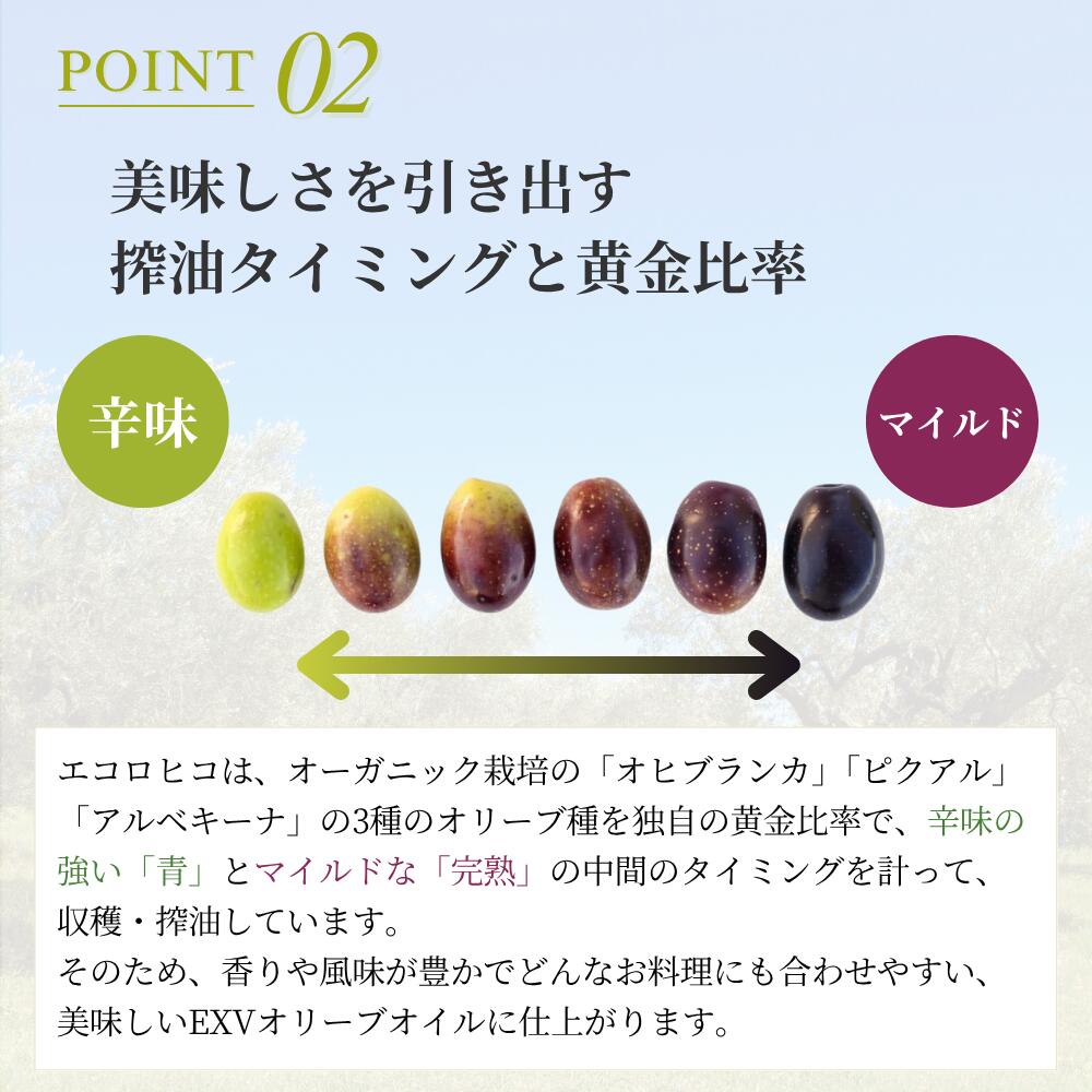 エコロヒコ
