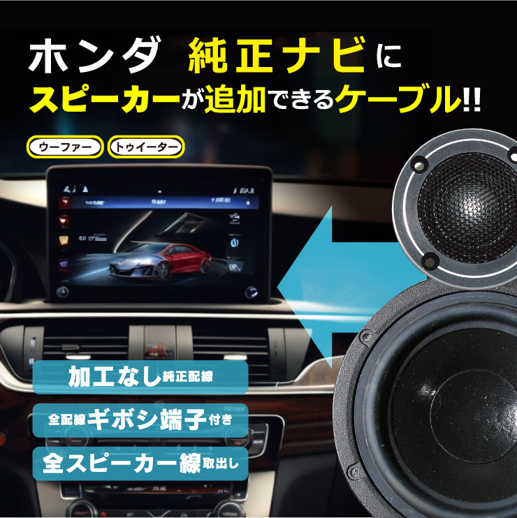 BeatーSonic（ビートソニック） BH27 スピーカー出力 取出しケーブル