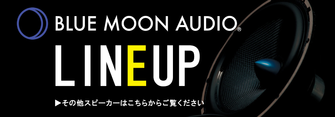 BLUE MOON AUDIO EX165 エクセレント 16.5cm 6.5inch セパレート 2way