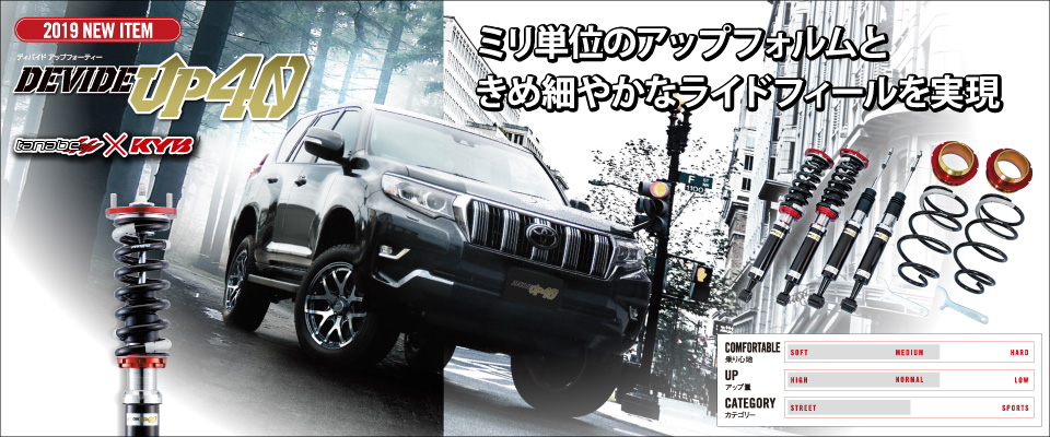 TANABE タナベ リフトアップ 車高調 UP40CV5WK 三菱 CV5W デリカD:5 用