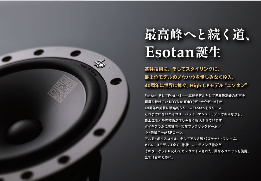 55％以上節約 DYNAUDIO ディナウディオ ESOTAN236MKII エソタン 40周年