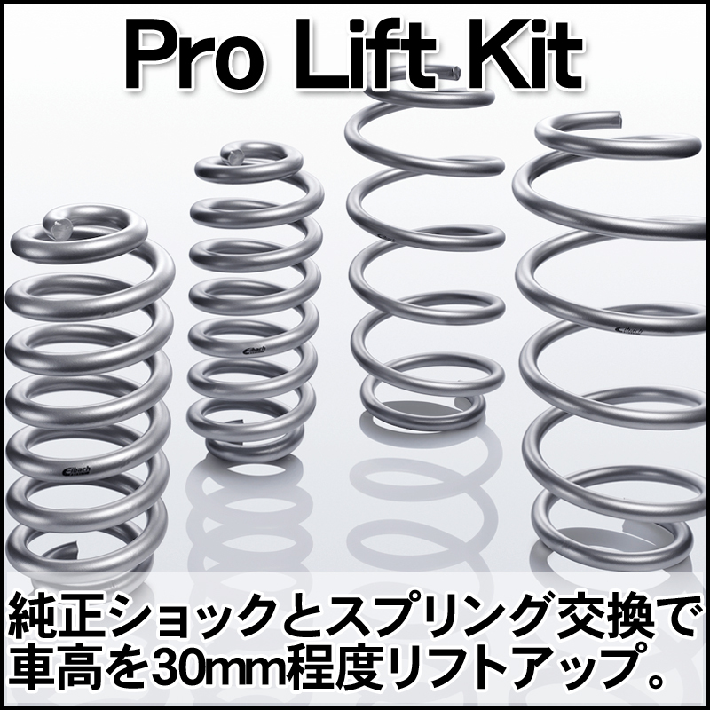 Eibach アイバッハ ローダウンサスペンションキット ERS 直巻き