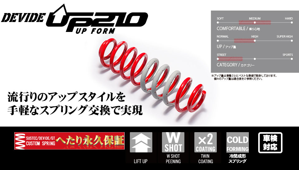 TANABE（タナベ） DEVIDE UP210 アップスプリング AXAN64UK RAV4