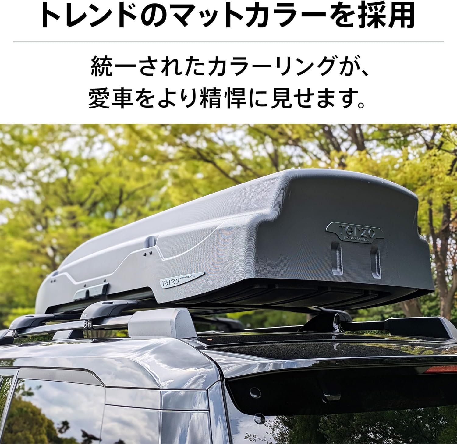 TERZO EA462FMG マットグレー ルーフボックス フォレスター RAV4