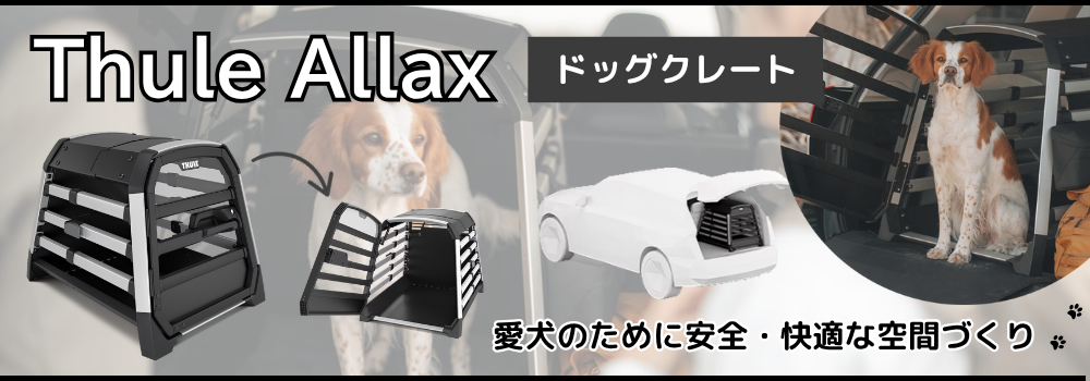 Amazon.co.jp: Thule（スーリー） キット6020 THKIT6020