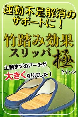 極(きわみ)タイプ
