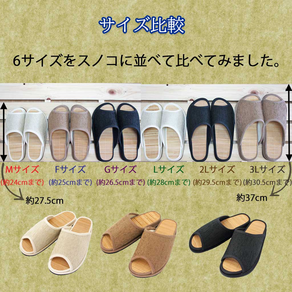 サイズ比較