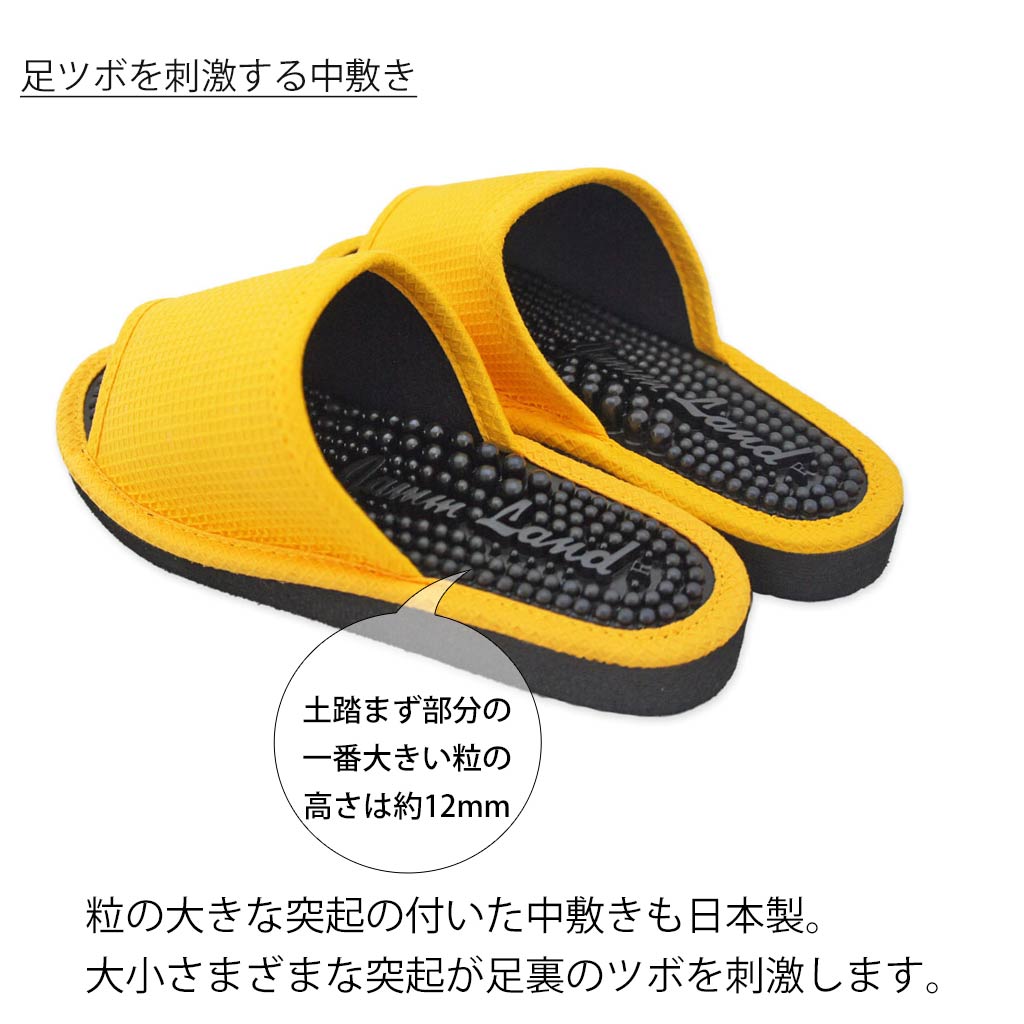 中敷きの突起が足裏を刺激