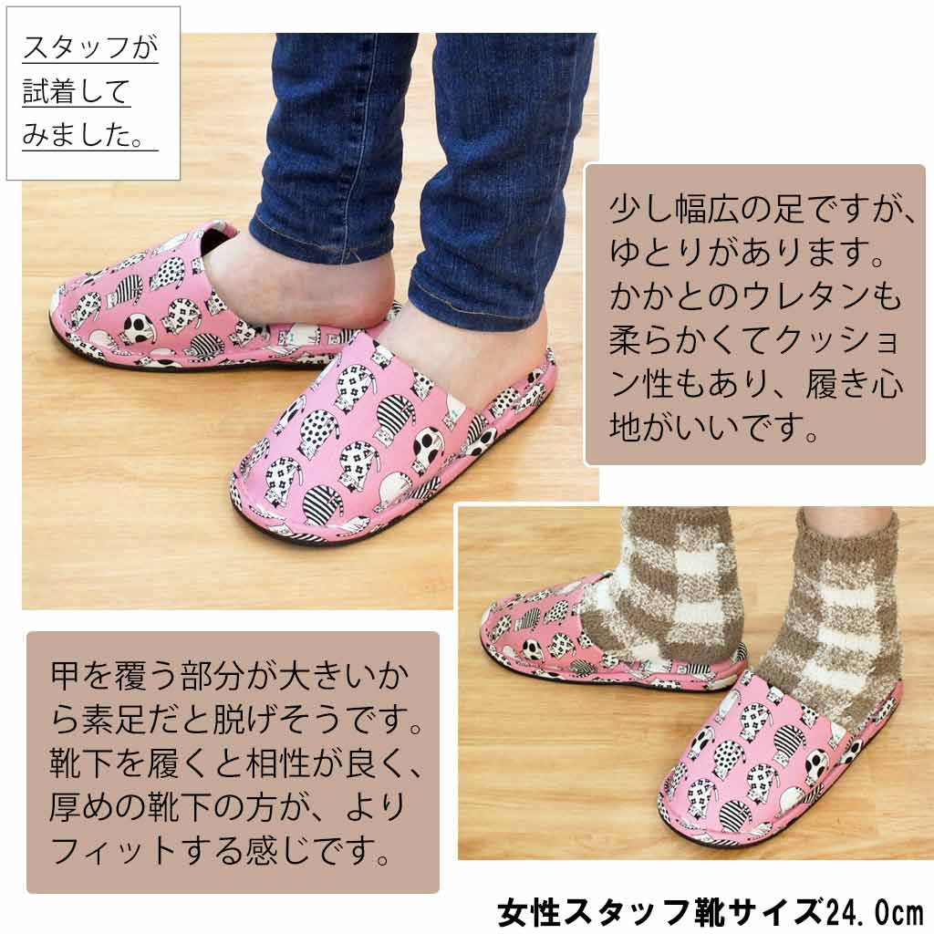 カラー展開