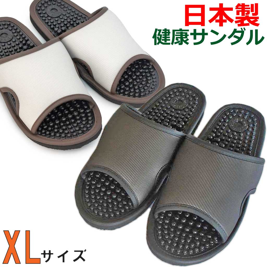 XLサイズ