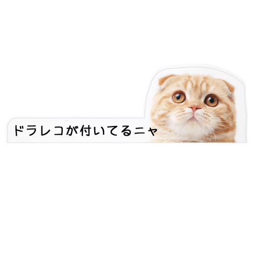 猫イラスト 追突防止 危険運転 対策 ステッカー ドライブレコーダー A