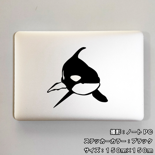 crescent-ss_orca01