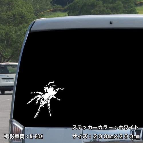 スパイダー ステッカー 01 全26色 5サイズ クモ くも 蜘蛛 傷隠し